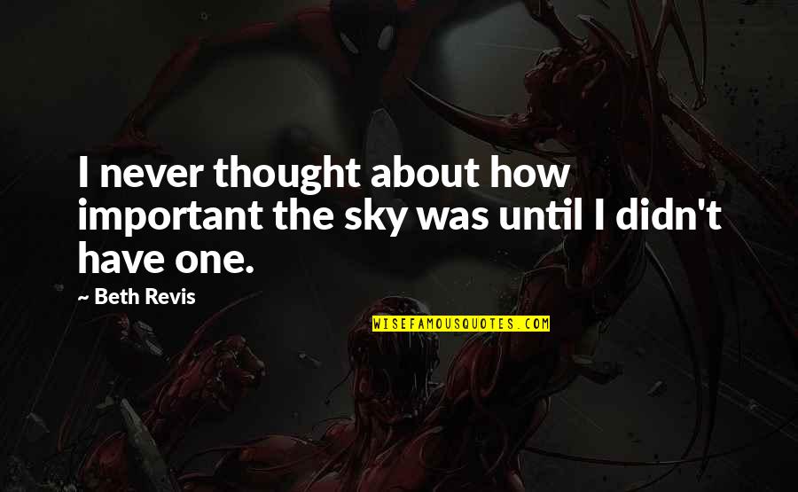 Ferrusquilla Biografia Quotes By Beth Revis: I never thought about how important the sky