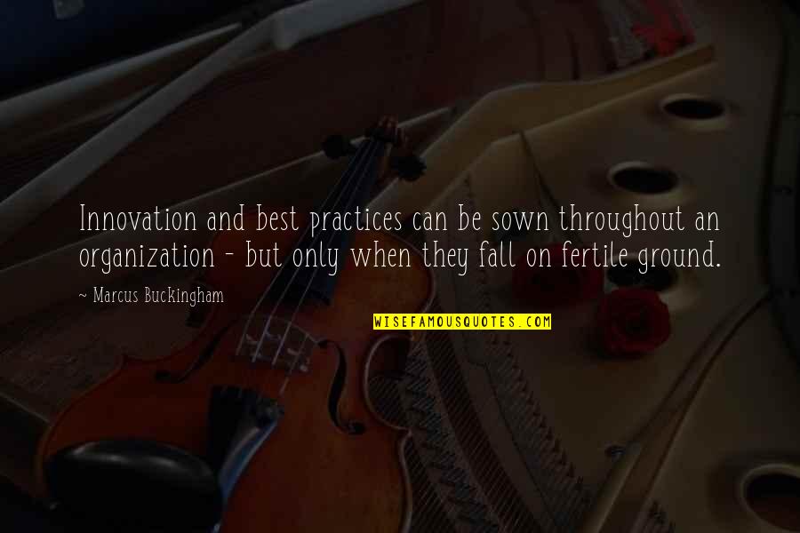 Fertile Ground Quotes By Marcus Buckingham: Innovation and best practices can be sown throughout