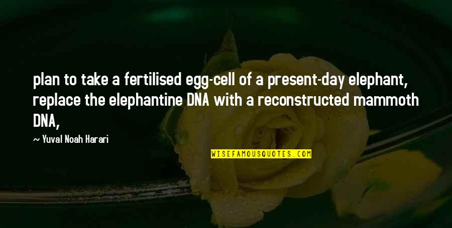 Fertilised Quotes By Yuval Noah Harari: plan to take a fertilised egg-cell of a