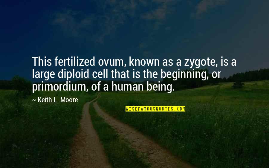 Fertilized Quotes By Keith L. Moore: This fertilized ovum, known as a zygote, is