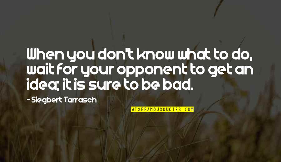 Fertilizers For Vegetables Quotes By Siegbert Tarrasch: When you don't know what to do, wait