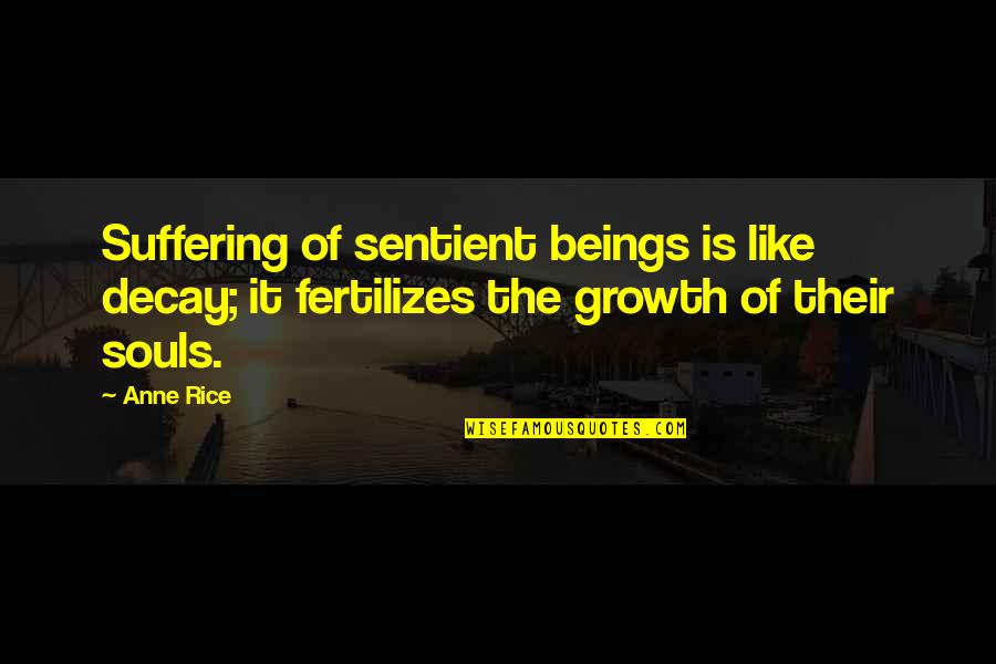 Fertilizes Quotes By Anne Rice: Suffering of sentient beings is like decay; it