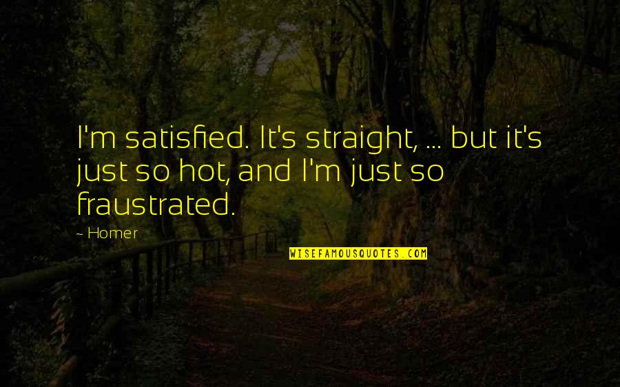 Fervida Financial Strategies Quotes By Homer: I'm satisfied. It's straight, ... but it's just