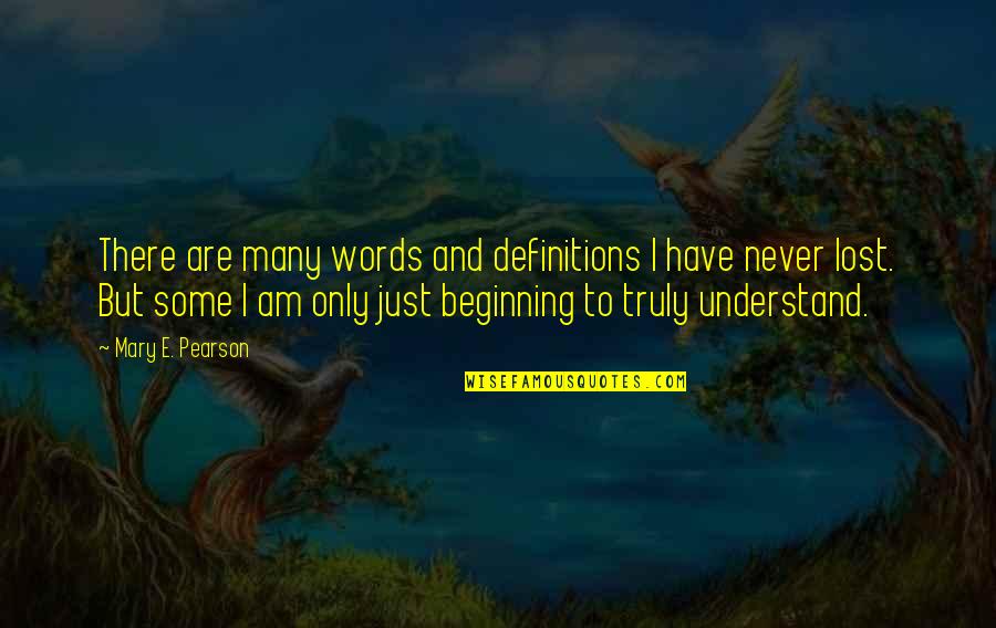 Fesshaye Yohannes Quotes By Mary E. Pearson: There are many words and definitions I have