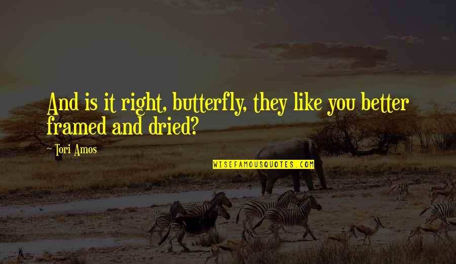 Festal Shout Quotes By Tori Amos: And is it right, butterfly, they like you