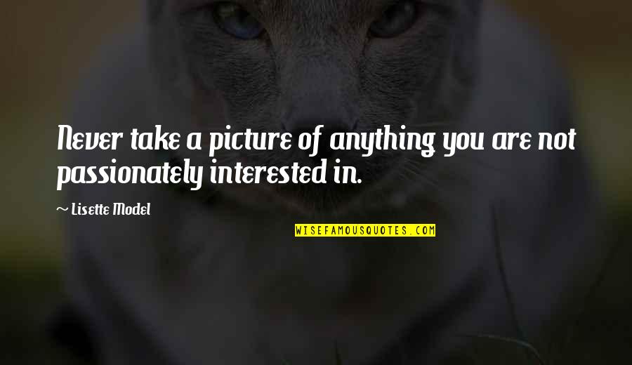 Feste Song Quotes By Lisette Model: Never take a picture of anything you are