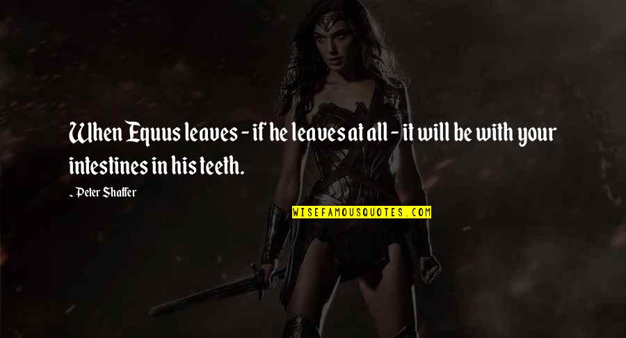 Festively Dressed Quotes By Peter Shaffer: When Equus leaves - if he leaves at Festively Dressed Quotes By Peter Shaffer: When Equus leaves - if he leaves at