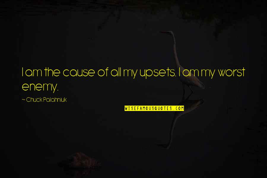 Festooning Quotes By Chuck Palahniuk: I am the cause of all my upsets.