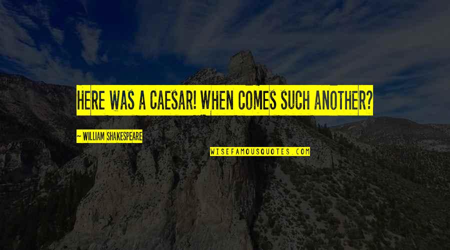 Fetal Demise Quotes By William Shakespeare: Here was a Caesar! When comes such another?