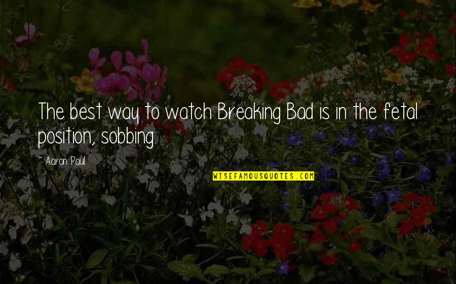 Fetal Position Quotes By Aaron Paul: The best way to watch Breaking Bad is