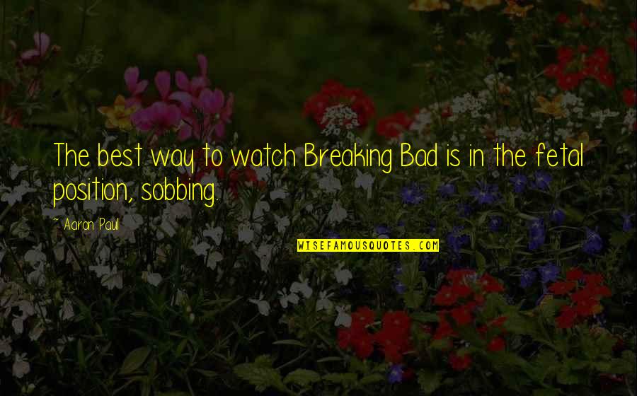 Fetal Quotes By Aaron Paul: The best way to watch Breaking Bad is