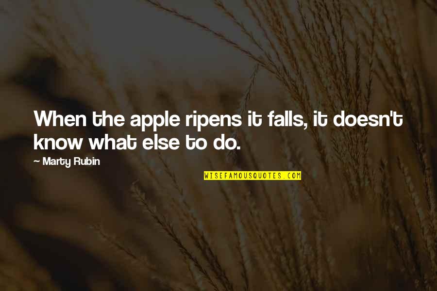 Fethiye Quotes By Marty Rubin: When the apple ripens it falls, it doesn't