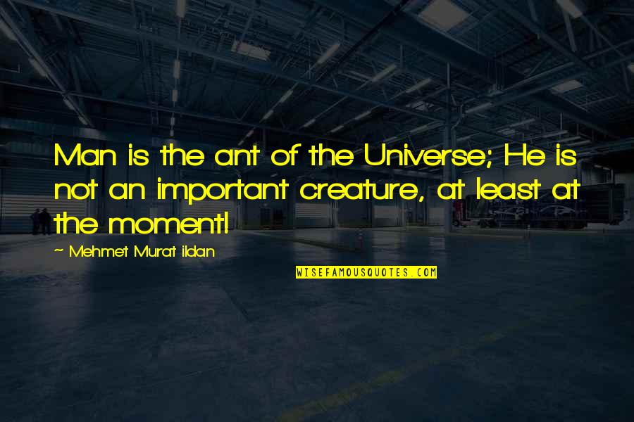 Fetishization Synonyms Quotes By Mehmet Murat Ildan: Man is the ant of the Universe; He Fetishization Synonyms Quotes By Mehmet Murat Ildan: Man is the ant of the Universe; He