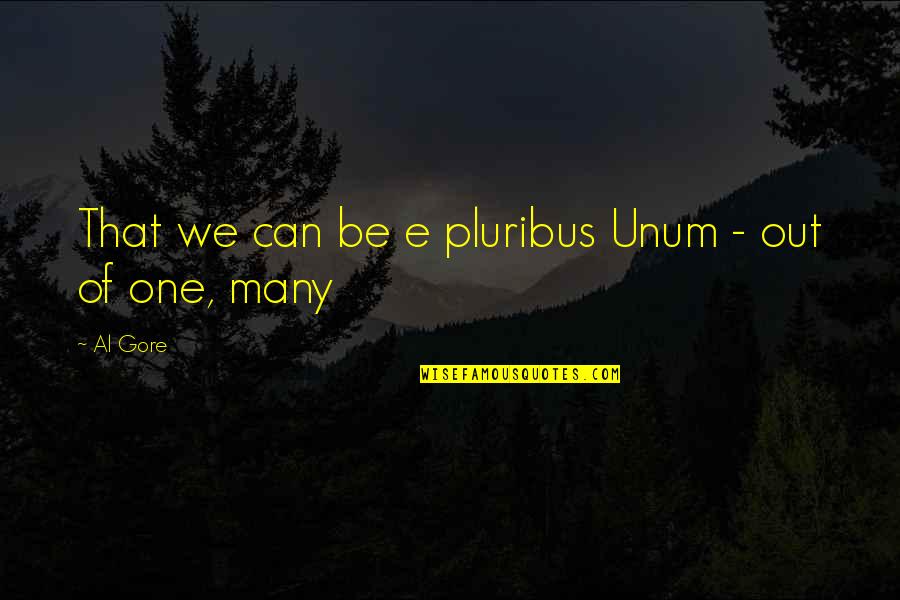 Fetisov Red Quotes By Al Gore: That we can be e pluribus Unum -