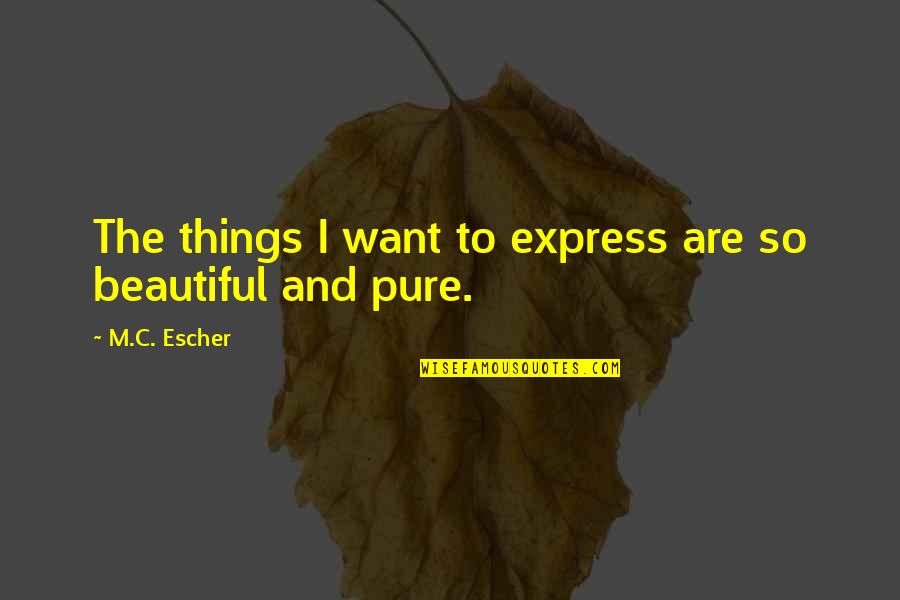 Feto De 8 Quotes By M.C. Escher: The things I want to express are so Feto De 8 Quotes By M.C. Escher: The things I want to express are so