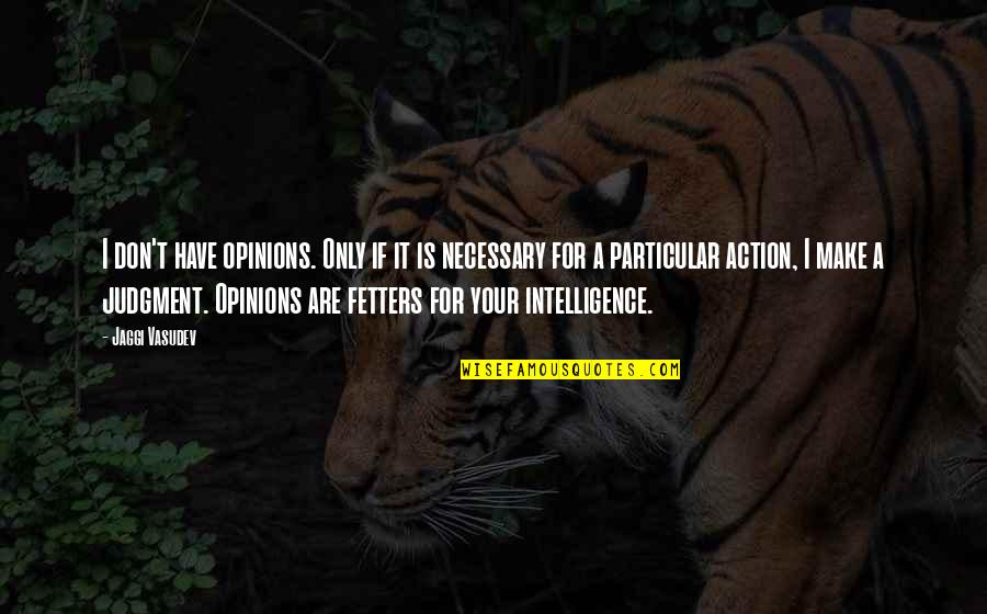 Fetters Quotes By Jaggi Vasudev: I don't have opinions. Only if it is