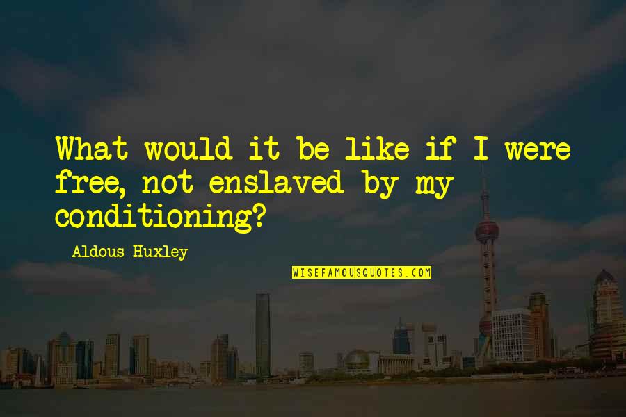 Fettler Way Quotes By Aldous Huxley: What would it be like if I were