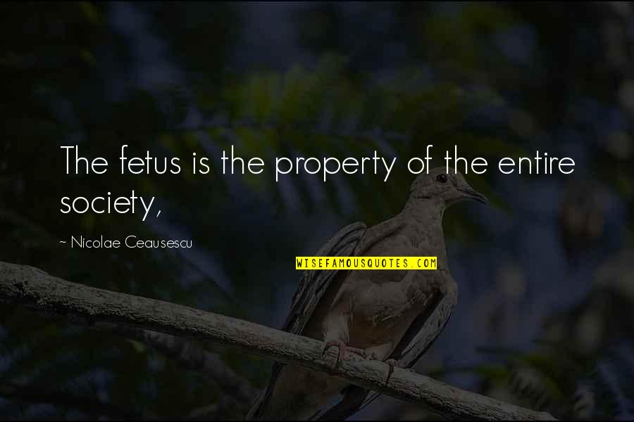 Fetus Quotes By Nicolae Ceausescu: The fetus is the property of the entire