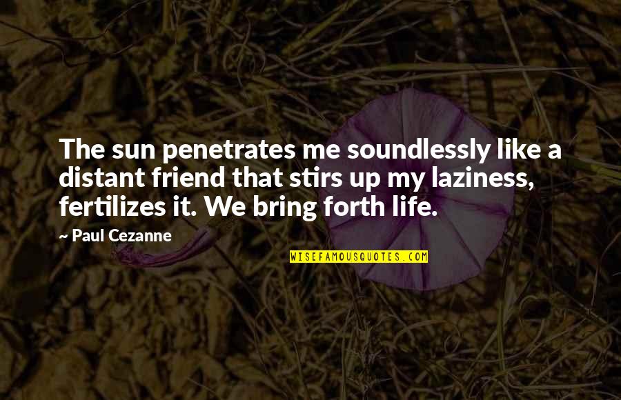 Fetzer Quotes By Paul Cezanne: The sun penetrates me soundlessly like a distant