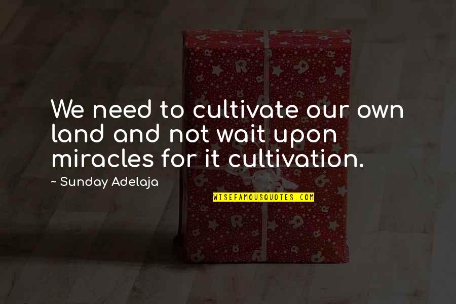Feussners Quotes By Sunday Adelaja: We need to cultivate our own land and