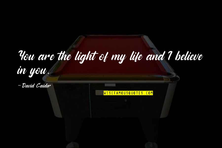 Feverdrama Quotes By David Gaider: You are the light of my life and