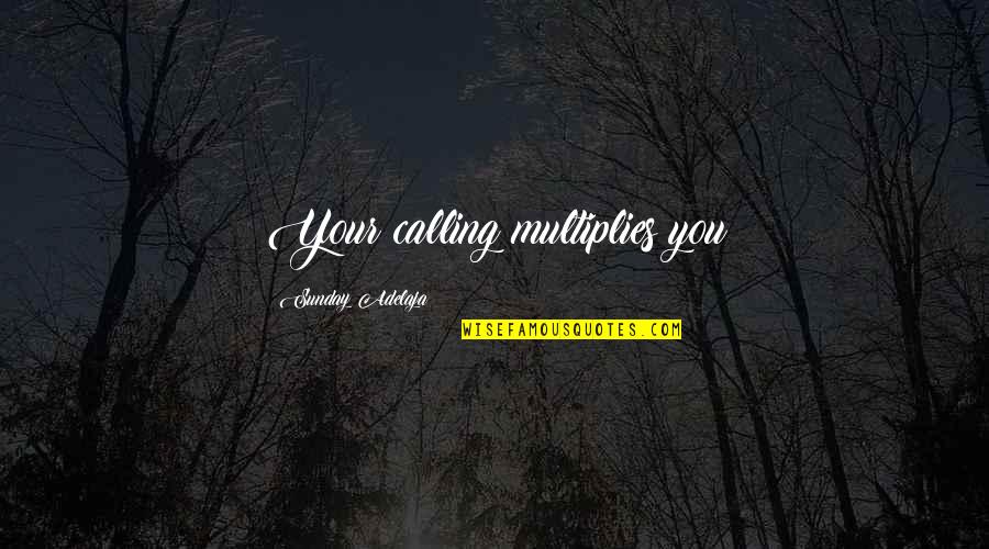 Feverfew Quotes By Sunday Adelaja: Your calling multiplies you