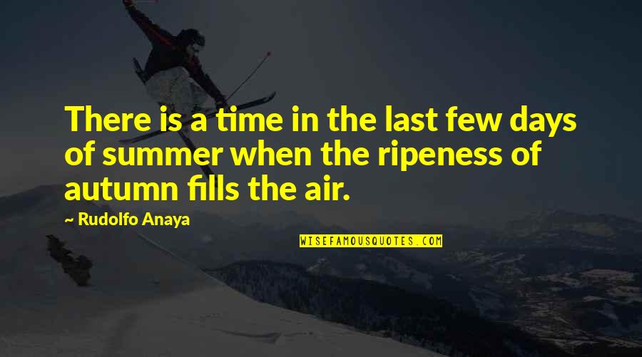 Few Days Quotes By Rudolfo Anaya: There is a time in the last few