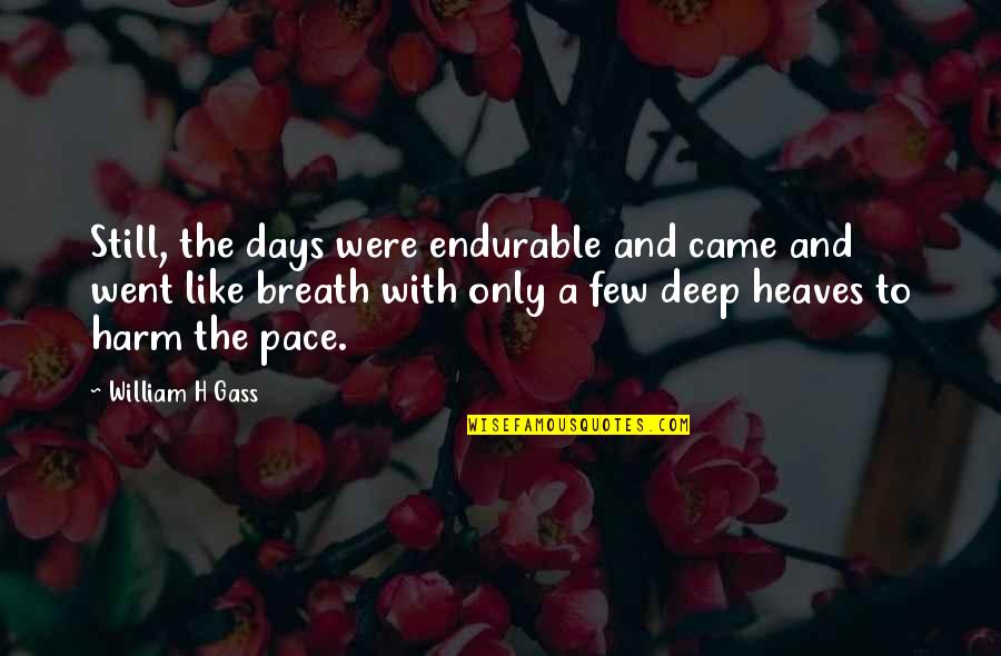 Few Days Quotes By William H Gass: Still, the days were endurable and came and