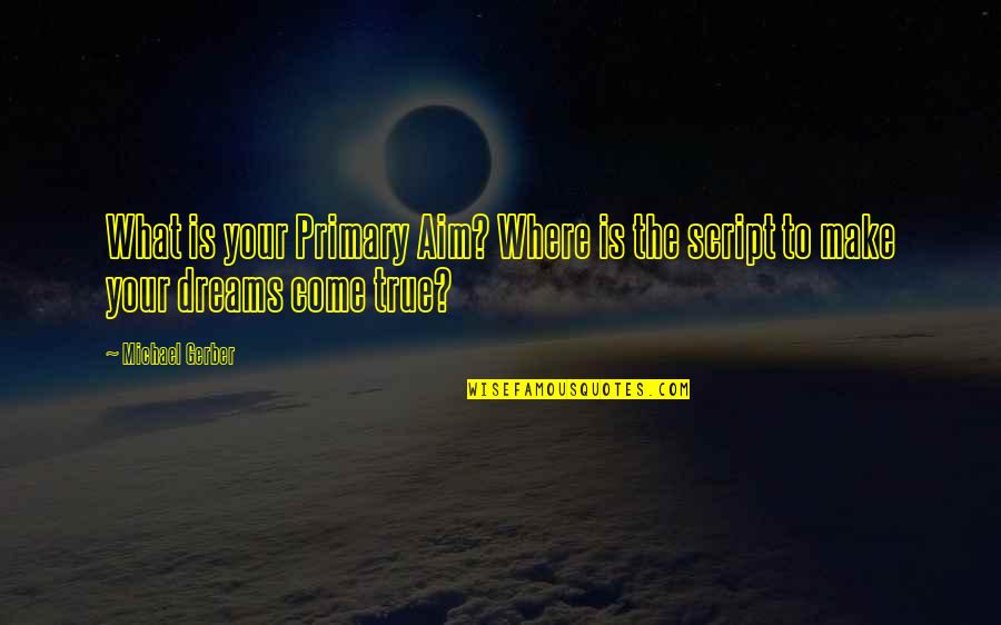 Fewtimes Quotes By Michael Gerber: What is your Primary Aim? Where is the
