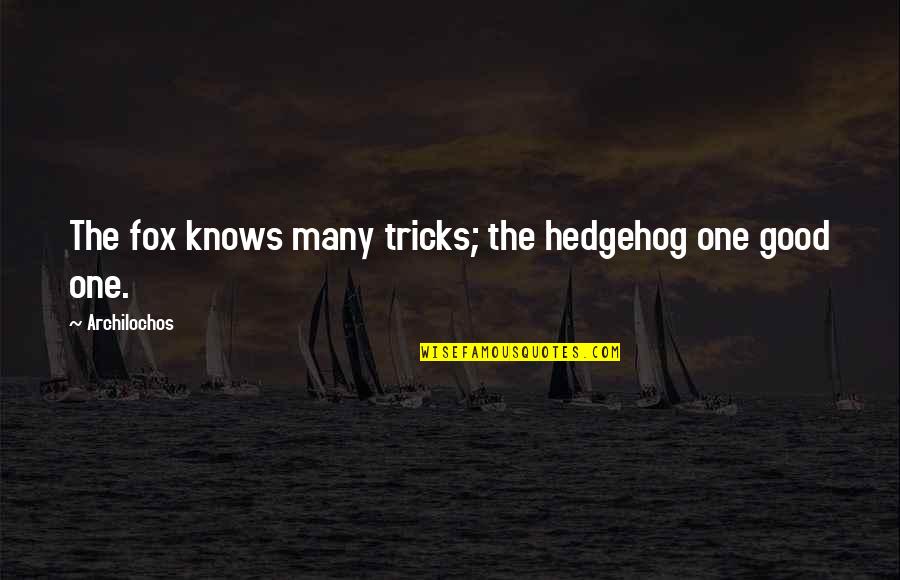 Feyereisen Construction Quotes By Archilochos: The fox knows many tricks; the hedgehog one Feyereisen Construction Quotes By Archilochos: The fox knows many tricks; the hedgehog one