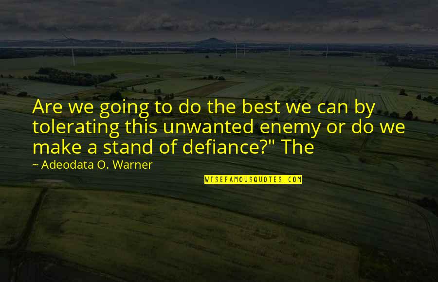 Fez Owls Quotes By Adeodata O. Warner: Are we going to do the best we