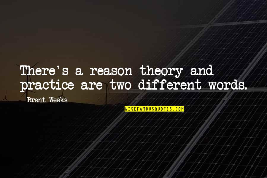 Fezziks Autocannon Quotes By Brent Weeks: There's a reason theory and practice are two
