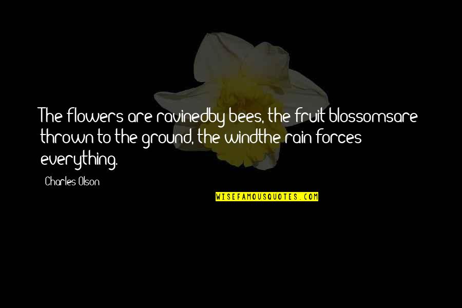 Ffejbuk Quotes By Charles Olson: The flowers are ravinedby bees, the fruit blossomsare