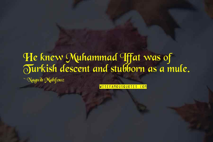 Ffrench Pitt Quotes By Naguib Mahfouz: He knew Muhammad Iffat was of Turkish descent