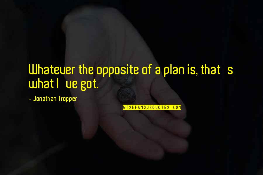 Fiancee Vs Fiance Quotes By Jonathan Tropper: Whatever the opposite of a plan is, that's