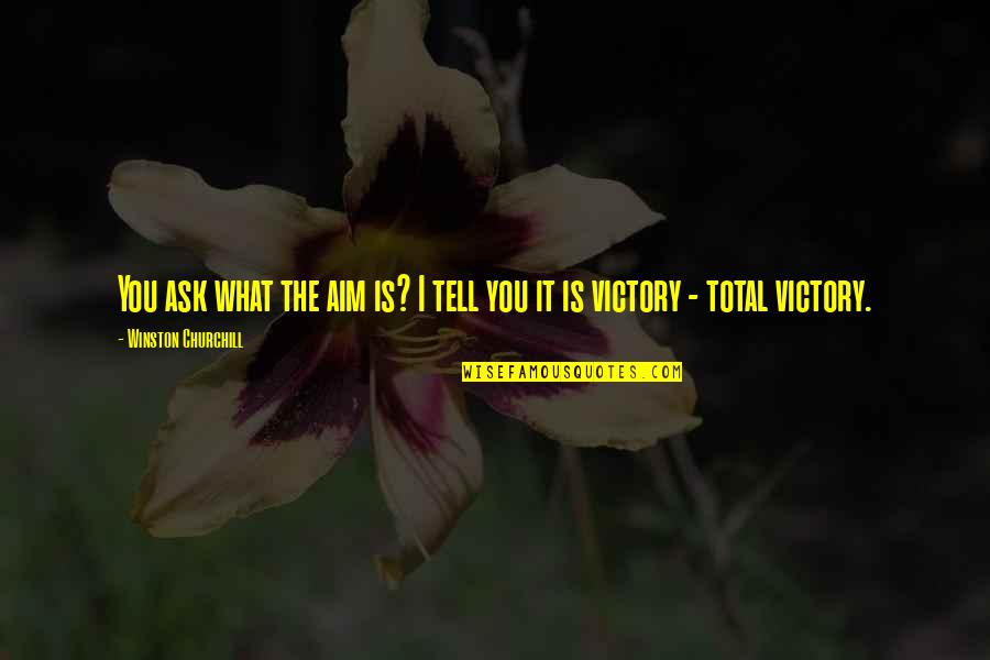 Fiaschetti Woodworking Quotes By Winston Churchill: You ask what the aim is? I tell