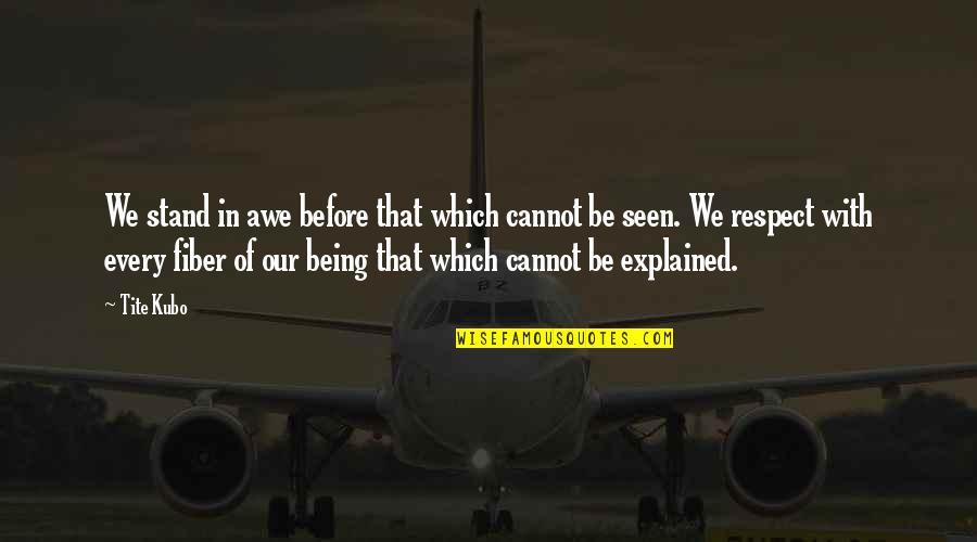 Fiber Of My Being Quotes By Tite Kubo: We stand in awe before that which cannot Fiber Of My Being Quotes By Tite Kubo: We stand in awe before that which cannot