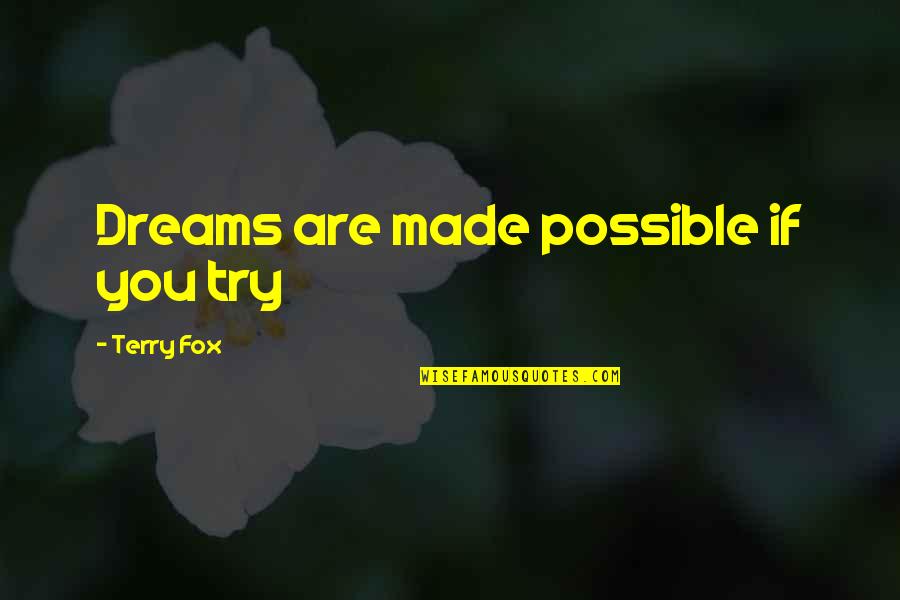 Fibrils Quotes By Terry Fox: Dreams are made possible if you try