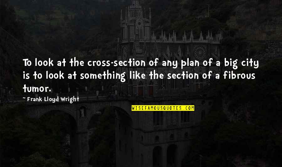 Fibrous Quotes By Frank Lloyd Wright: To look at the cross-section of any plan