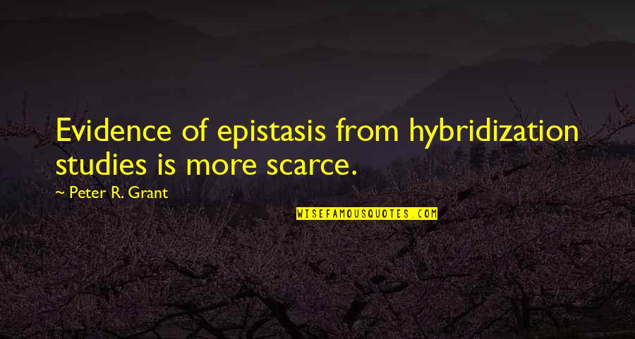 Ficerallas Quotes By Peter R. Grant: Evidence of epistasis from hybridization studies is more Ficerallas Quotes By Peter R. Grant: Evidence of epistasis from hybridization studies is more