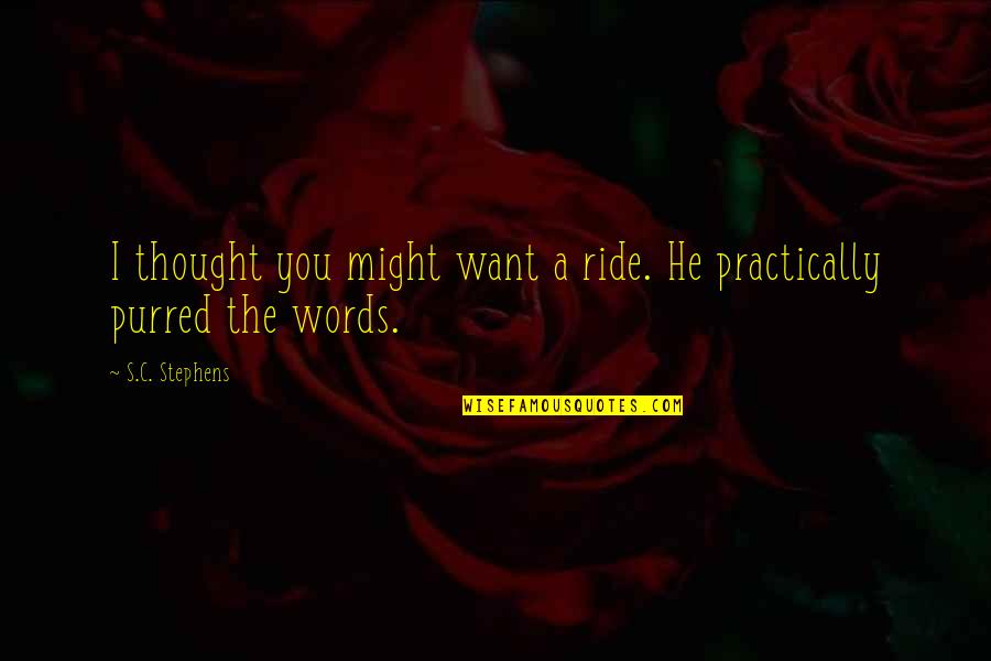 Ficiton Quotes By S.C. Stephens: I thought you might want a ride. He