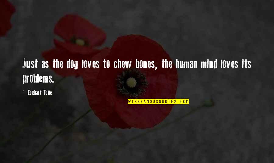 Fictio Quotes By Eckhart Tolle: Just as the dog loves to chew bones,