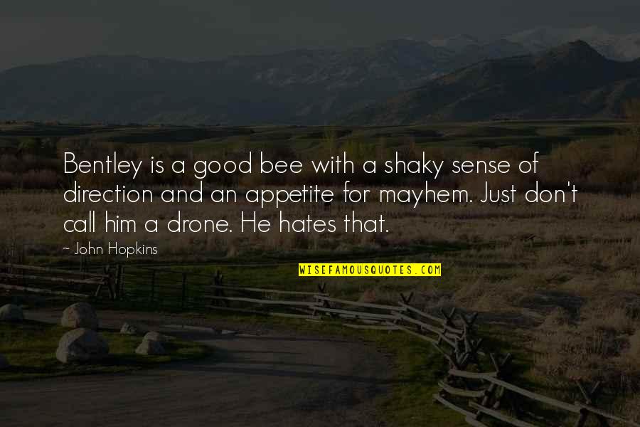 Fiction Novels Quotes By John Hopkins: Bentley is a good bee with a shaky