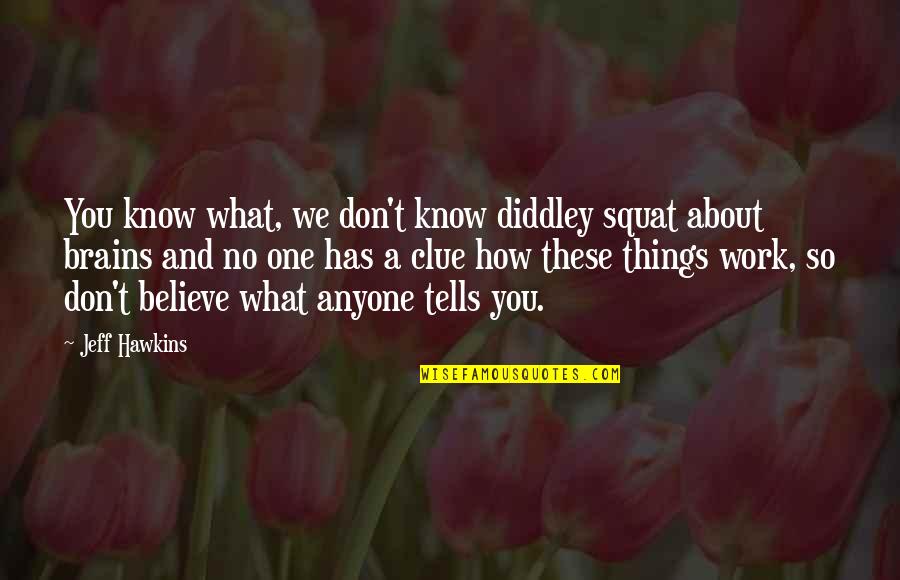 Fictional Memoir Quotes By Jeff Hawkins: You know what, we don't know diddley squat Fictional Memoir Quotes By Jeff Hawkins: You know what, we don't know diddley squat
