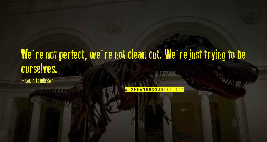 Fictionalizing True Quotes By Louis Tomlinson: We're not perfect, we're not clean cut. We're