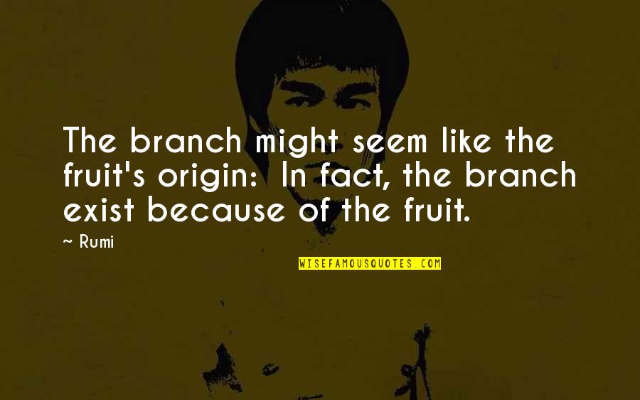 Fictionally Flawless Youtube Quotes By Rumi: The branch might seem like the fruit's origin: