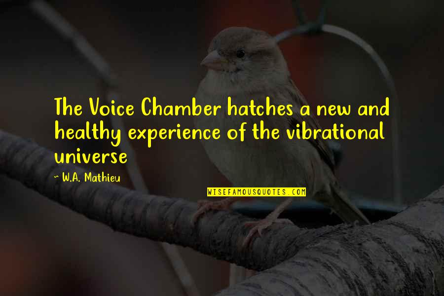 Fidanzati Innamorati Quotes By W.A. Mathieu: The Voice Chamber hatches a new and healthy