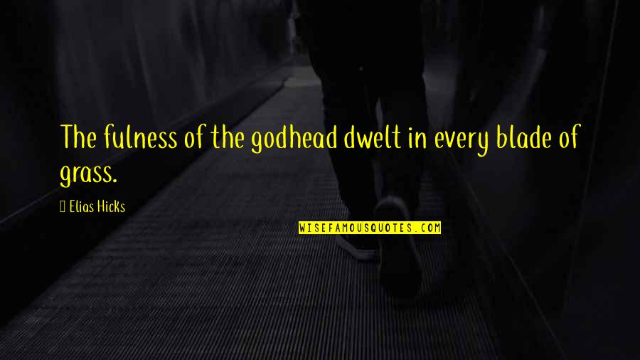 Fiddick's Quotes By Elias Hicks: The fulness of the godhead dwelt in every