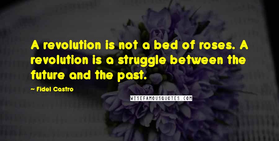 Fidel Castro quotes: A revolution is not a bed of roses. A revolution is a struggle between the future and the past.