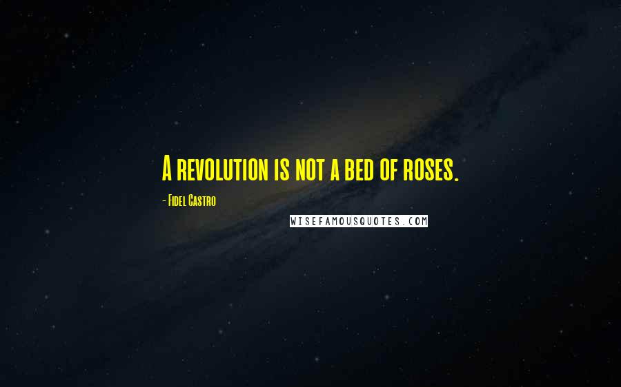 Fidel Castro quotes: A revolution is not a bed of roses.